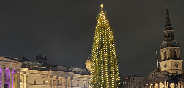 Trafalgar Square's Christmas tree