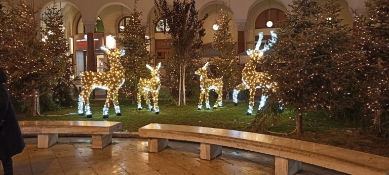 Χριστουγεννιάτικα ελάφια Αριστοτέλους