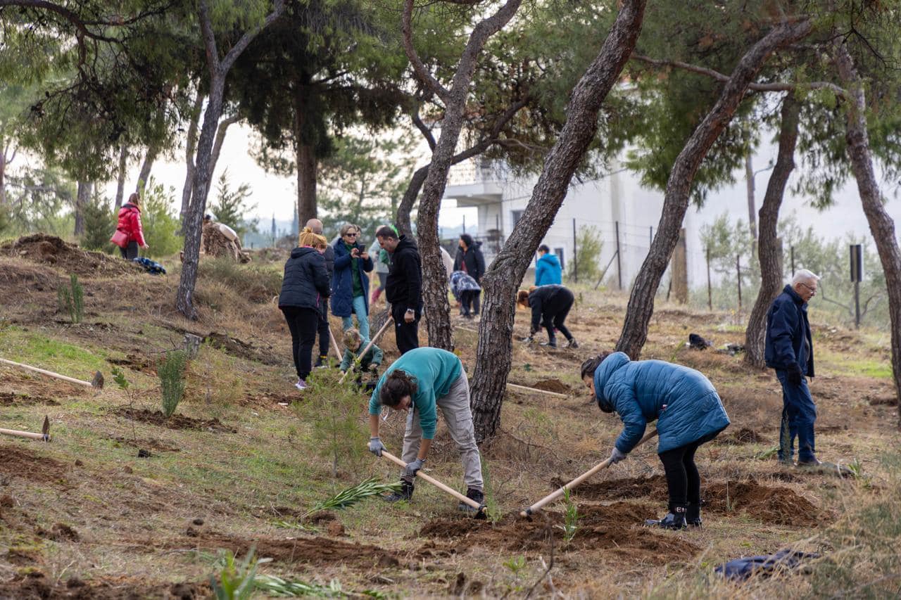Φύτευση δέντρων στην Τριανδρία