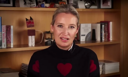 weidel you tube