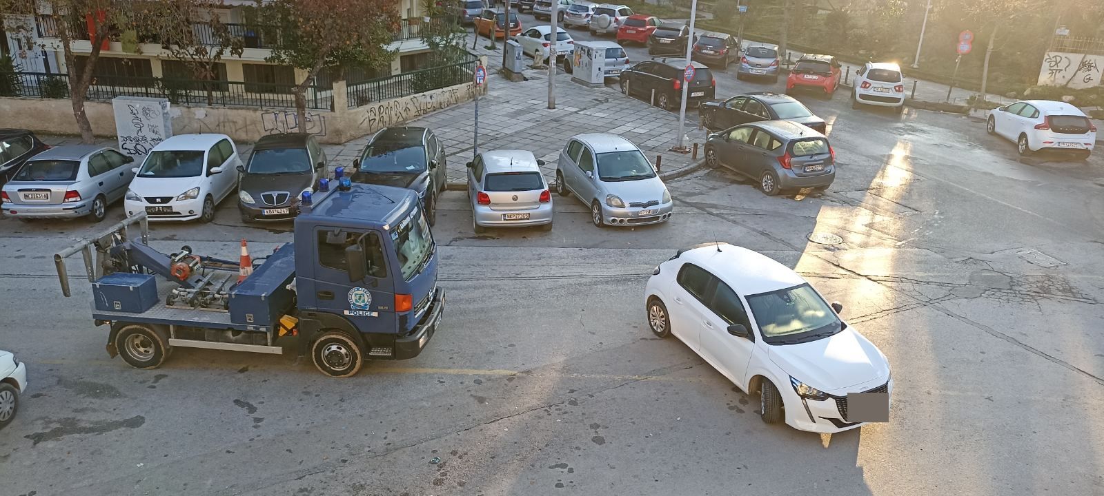 paranomo parkarisma