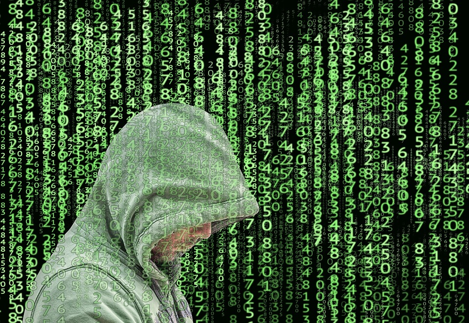 Cyber web