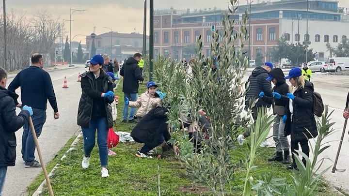 Δεντροφύτευση