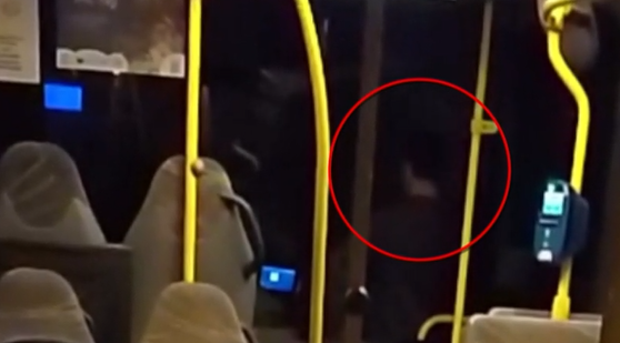 odigos astikou lewforeiou dinei se aniliko na odigisei