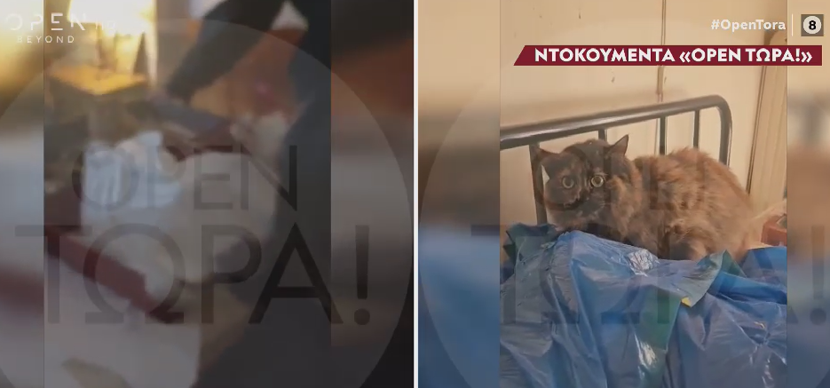 66xroni nekri mitera katw apo krevati