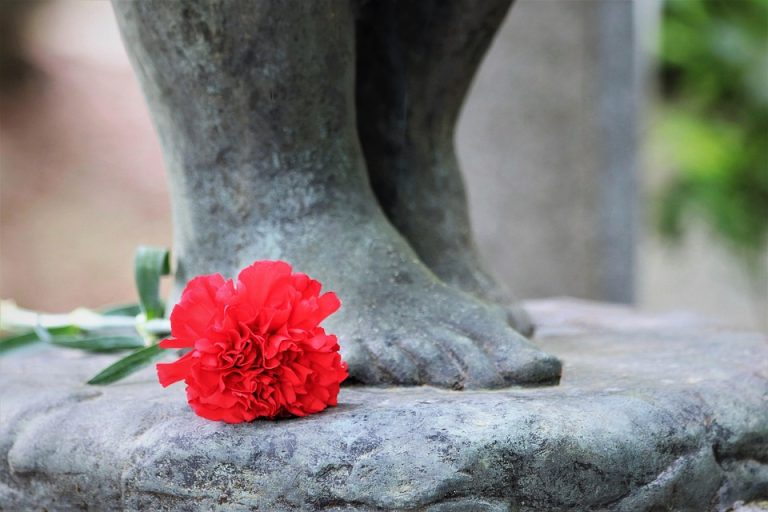 carnation