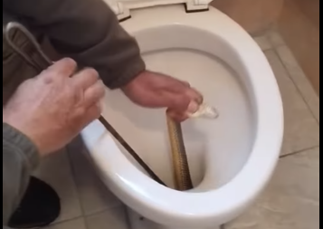fidi lekani toualetas kastoria