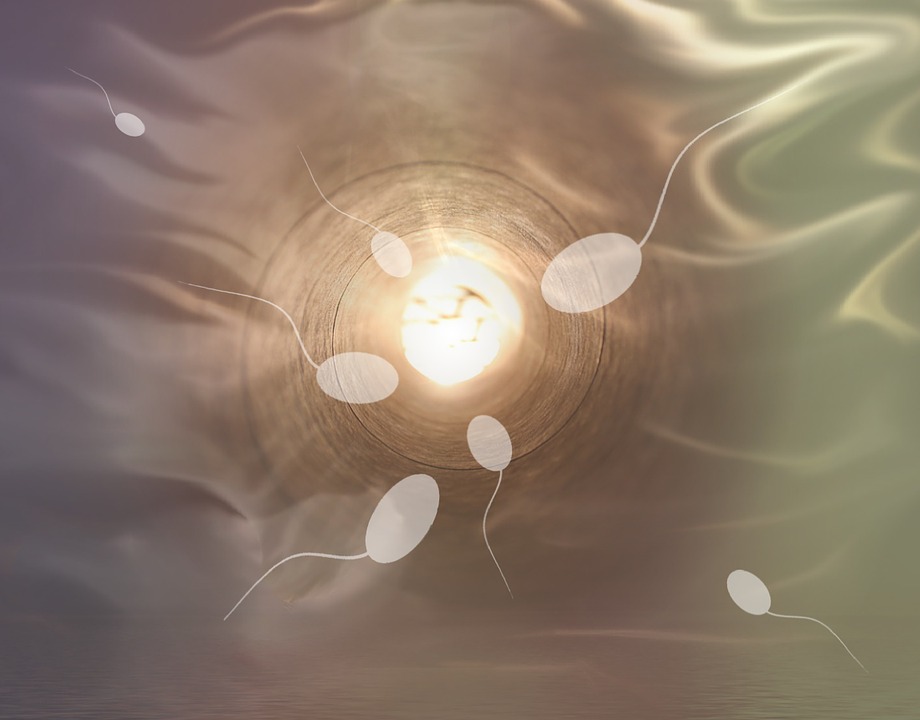 In vitro