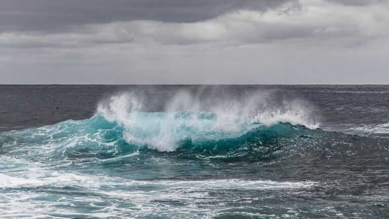 Θαλασσοτάραχη