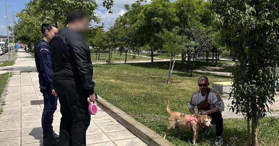 Πρόστιμα σε ιδιοκτήτες ζώων συντροφιάς στη Θεσσαλονίκη