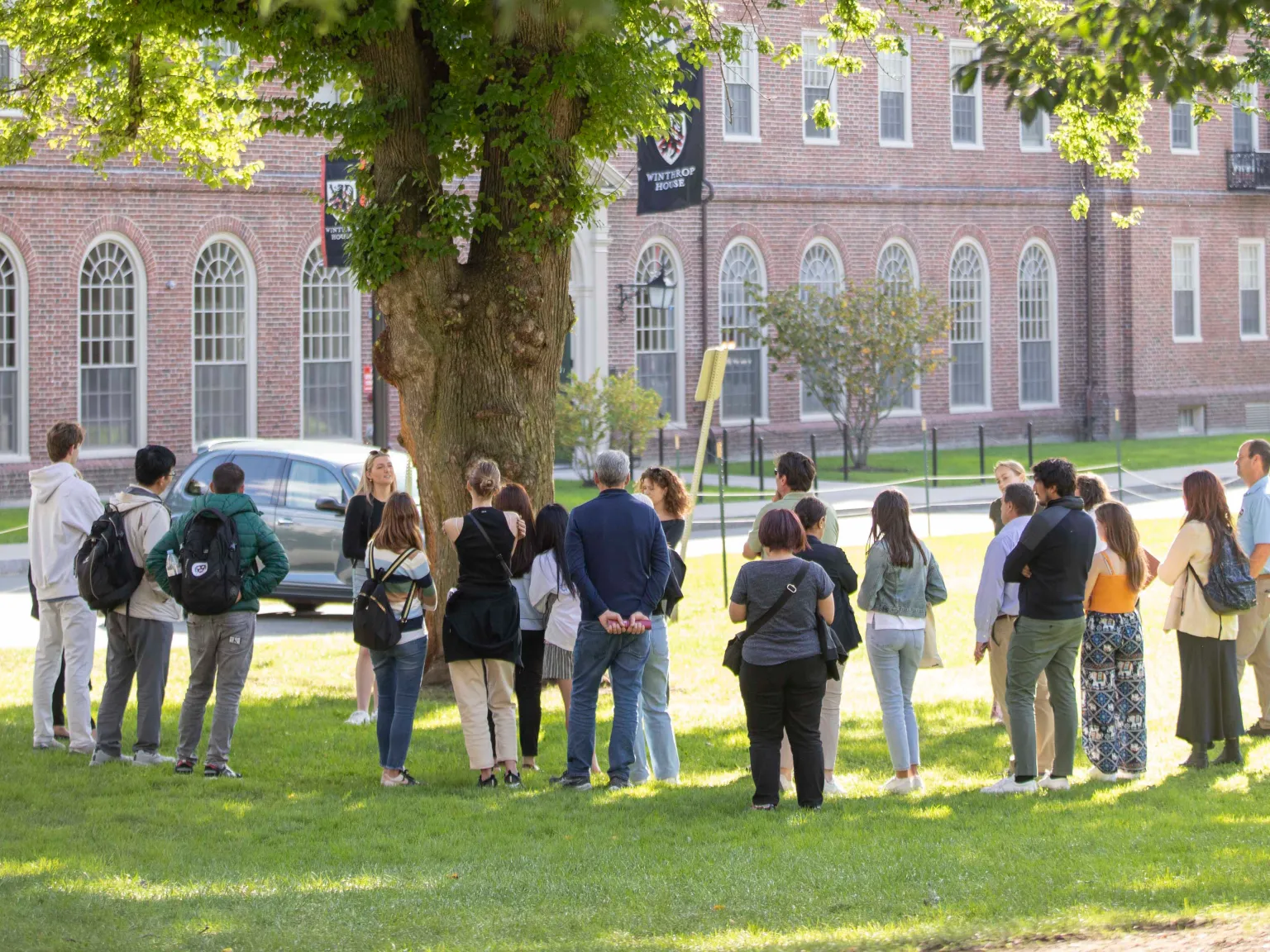 Harvard university