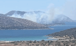 Φωτιά στην Παλαιά Φώκια Αττικής