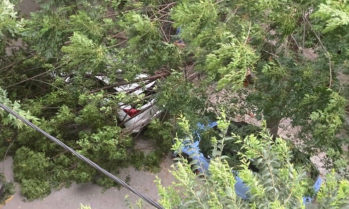 Μπουρίνι και δυνατός αέρας στη Λάρισα, ζημιές