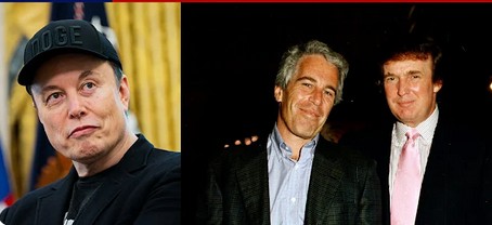 Elon Mask & Trump