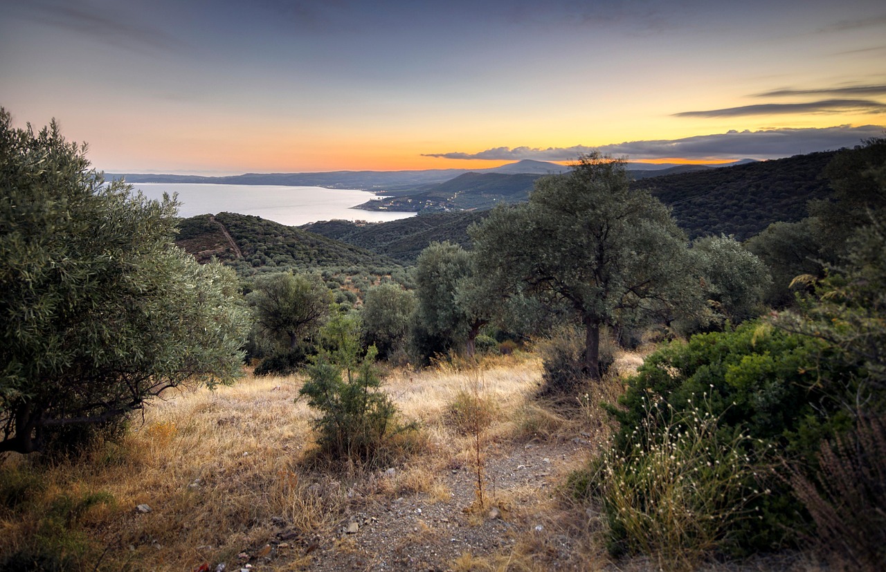 Χαλκιδική