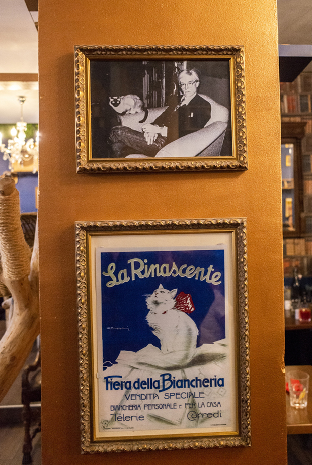 Paris Le café des chats