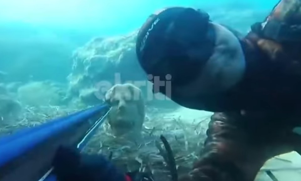 Ψαροντουφεκάς βρήκε άγαλμα