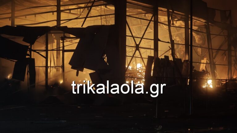 Τρίκαλα Φωτιά Βιολάντα
